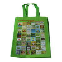 漳州LB11覆膜无纺布广告袋